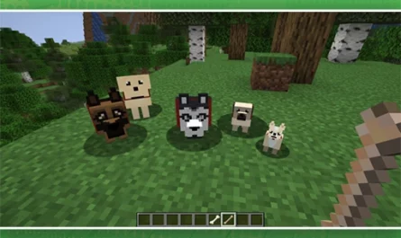 More Dogs Addon